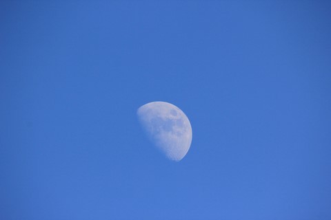 Ciel De Lune