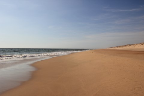 La côte sauvage plage